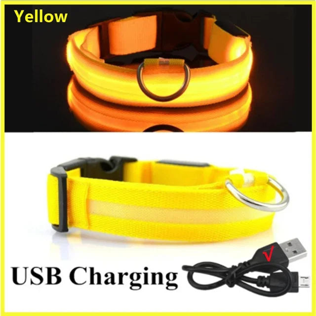 LED Dog Collar Adjustable Flashing Rechargeable