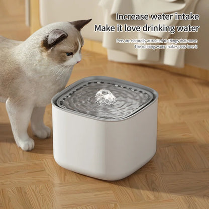 Cat Water Fountain Auto Filter 3L