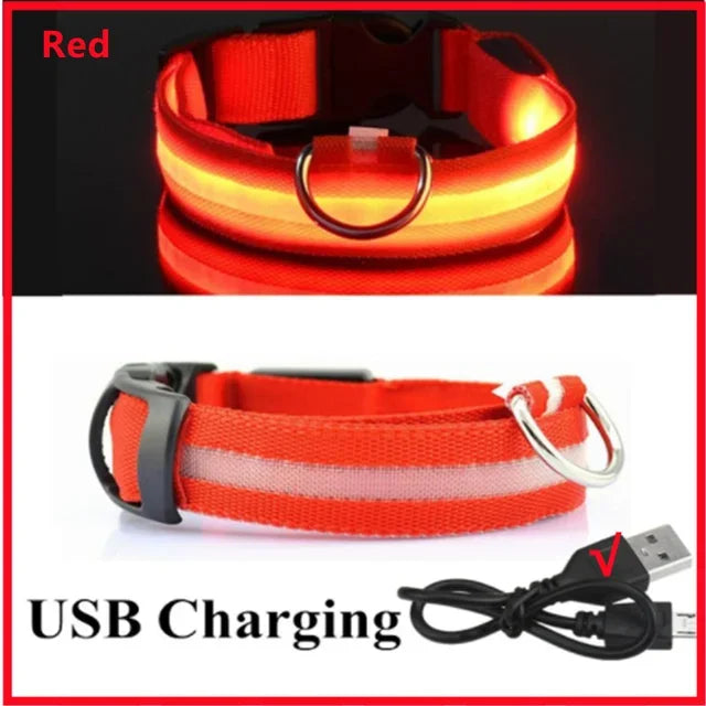 LED Dog Collar Adjustable Flashing Rechargeable