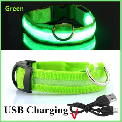 LED Dog Collar Adjustable Flashing Rechargeable