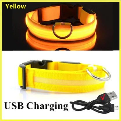 LED Dog Collar Adjustable Flashing Rechargeable