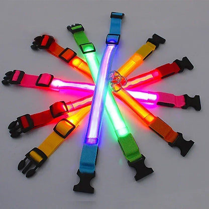 LED Dog Collar Adjustable Flashing Rechargeable