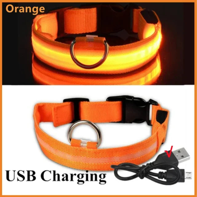 LED Dog Collar Adjustable Flashing Rechargeable