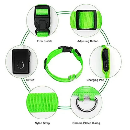 LED Dog Collar Adjustable Flashing Rechargeable