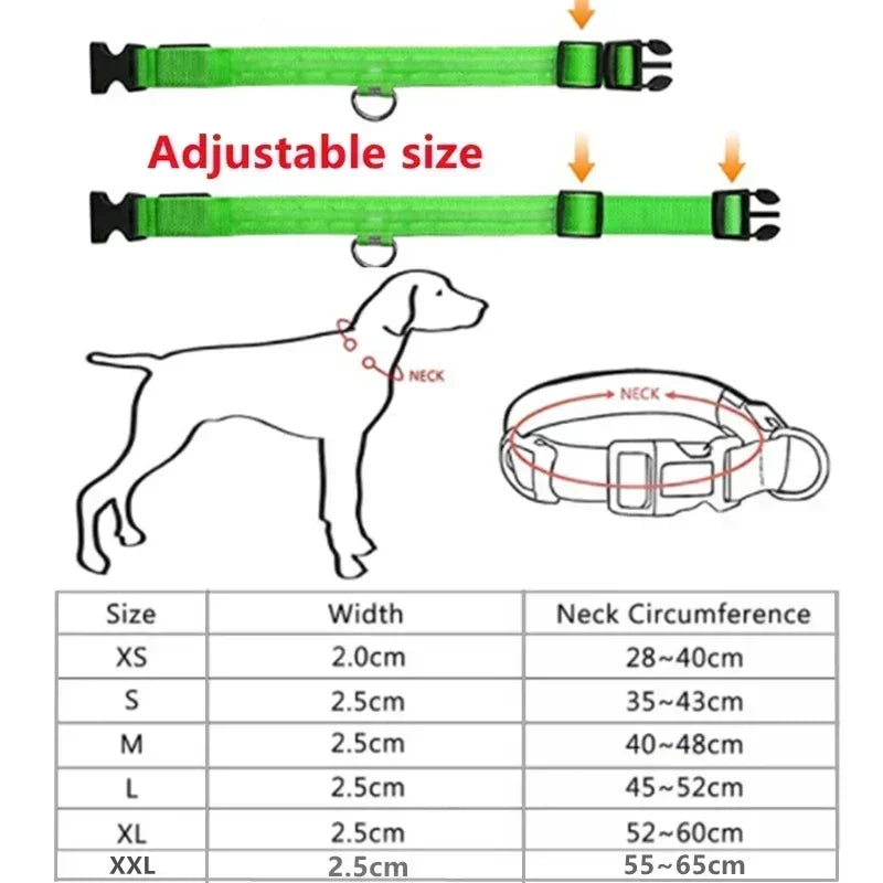 LED Dog Collar Adjustable Flashing Rechargeable