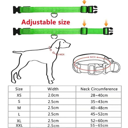 LED Dog Collar Adjustable Flashing Rechargeable