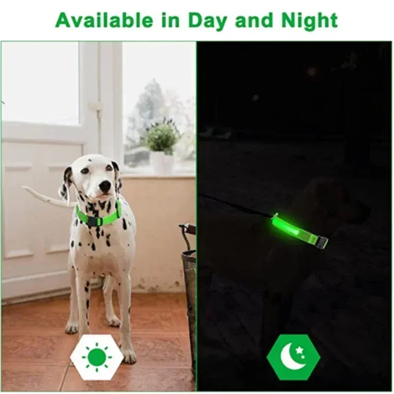 LED Dog Collar Adjustable Flashing Rechargeable