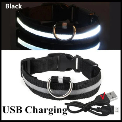LED Dog Collar Adjustable Flashing Rechargeable